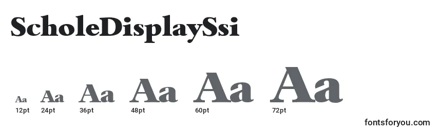ScholeDisplaySsi Font Sizes