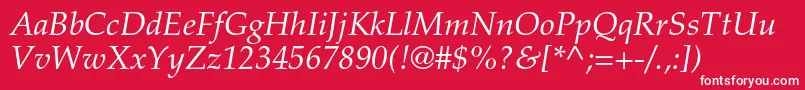 PalatinoltstdItalic Font – White Fonts on Red Background