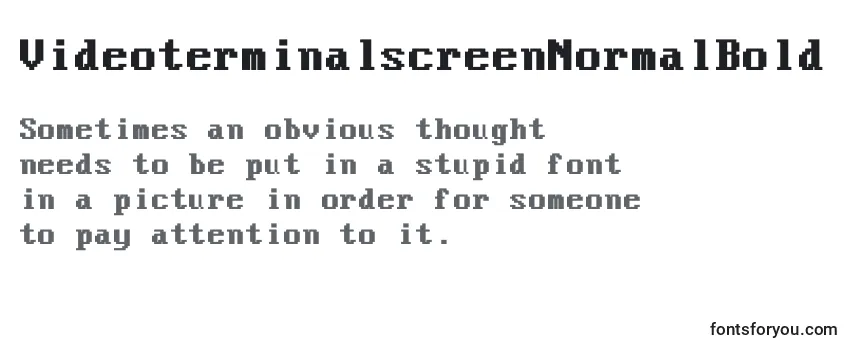 Обзор шрифта VideoterminalscreenNormalBold