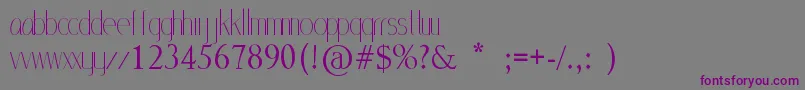 MlSansStd Font – Purple Fonts on Gray Background