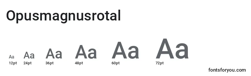 Размеры шрифта Opusmagnusrotal