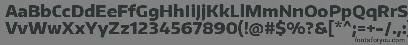 EncodesansExtrabold Font – Black Fonts on Gray Background