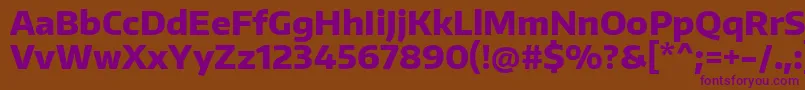 EncodesansExtrabold Font – Purple Fonts on Brown Background