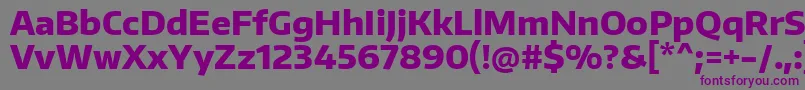 EncodesansExtrabold Font – Purple Fonts on Gray Background