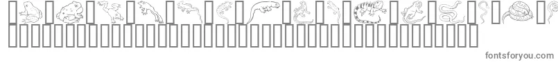 Czcionka GeReptibian – szare czcionki