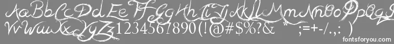 TeaserHouses Font – White Fonts on Gray Background