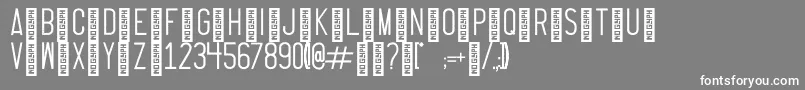 ThrusterRegular Font – White Fonts on Gray Background