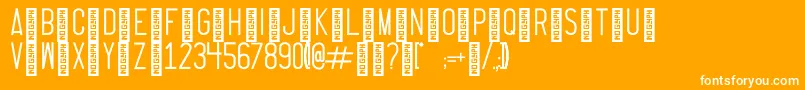 ThrusterRegular Font – White Fonts on Orange Background