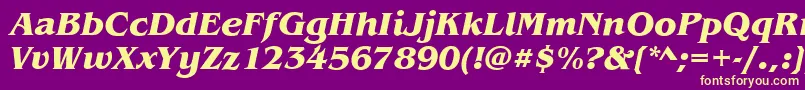 BenjaminBoldItalic Font – Yellow Fonts on Purple Background