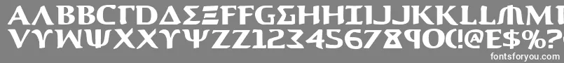 Aegis1 Font – White Fonts on Gray Background