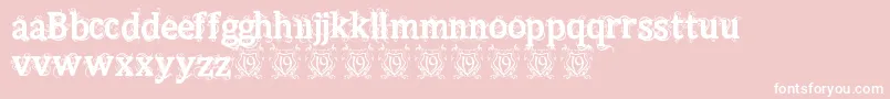 Beauregard-fontti – valkoiset fontit vaaleanpunaisella taustalla