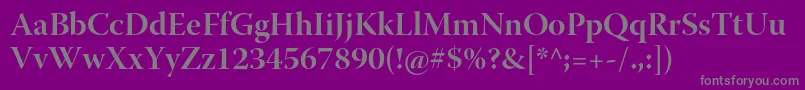 WarnockproBolddisp Font – Gray Fonts on Purple Background