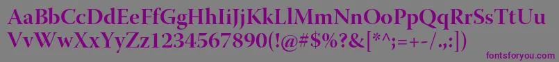 WarnockproBolddisp Font – Purple Fonts on Gray Background