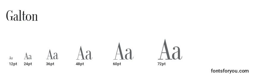 Galton Font Sizes