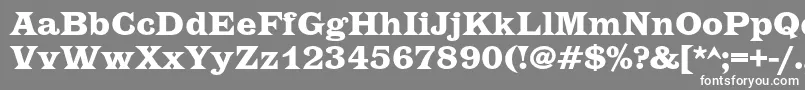 フォントEtiennecBold – 灰色の背景に白い文字