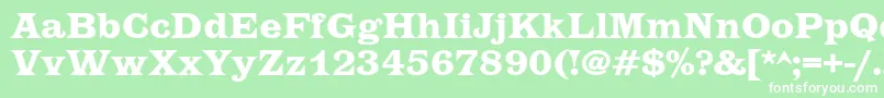 フォントEtiennecBold – 緑の背景に白い文字