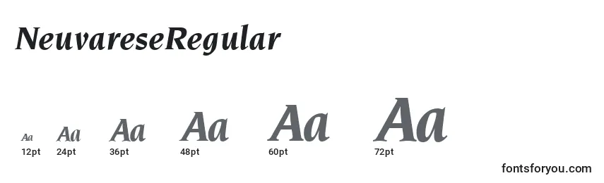 Размеры шрифта NeuvareseRegular