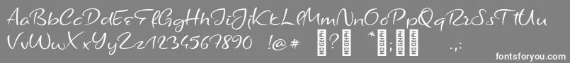 BarhoppersdemoRegular Font – White Fonts on Gray Background