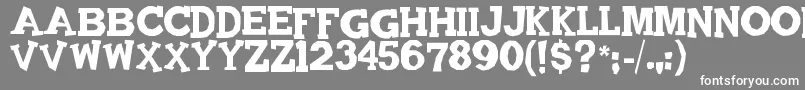 Quadrophonic Font – White Fonts on Gray Background