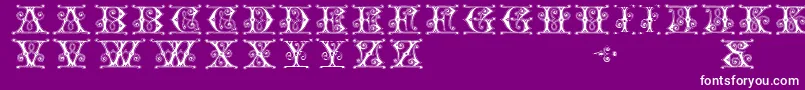 Gingerbread Font – White Fonts on Purple Background