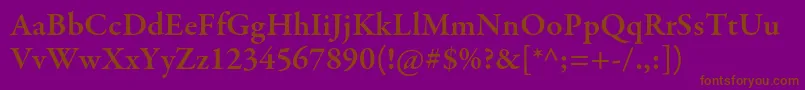 GaramondpremrproSmbd Font – Brown Fonts on Purple Background