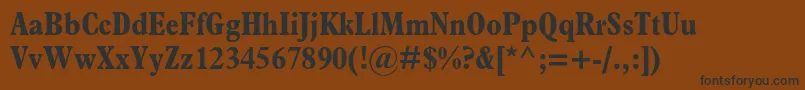 PlantinstdBoldcondensed Font – Black Fonts on Brown Background