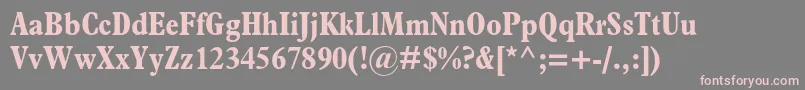 PlantinstdBoldcondensed Font – Pink Fonts on Gray Background