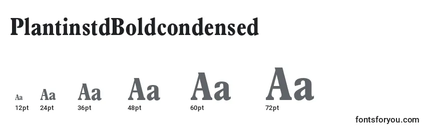 PlantinstdBoldcondensed Font Sizes