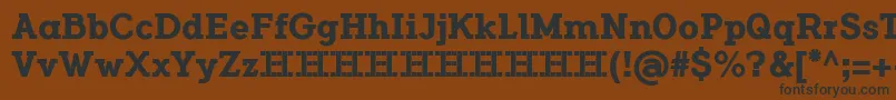 FlamanteSerifBoldFfp Font – Black Fonts on Brown Background