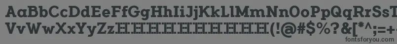 FlamanteSerifBoldFfp Font – Black Fonts on Gray Background