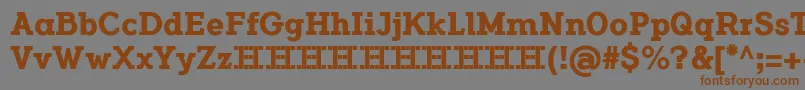 FlamanteSerifBoldFfp Font – Brown Fonts on Gray Background