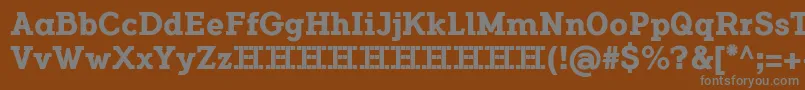 FlamanteSerifBoldFfp Font – Gray Fonts on Brown Background