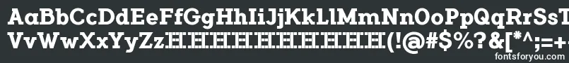 FlamanteSerifBoldFfp Font – White Fonts on Black Background