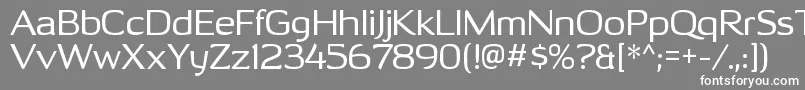 OhitashirgRegular Font – White Fonts on Gray Background