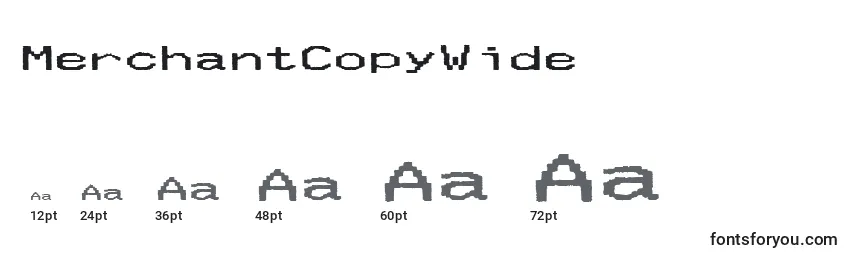 MerchantCopyWide Font Sizes