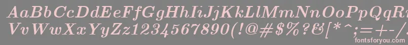 EuclidBoldItalic Font – Pink Fonts on Gray Background