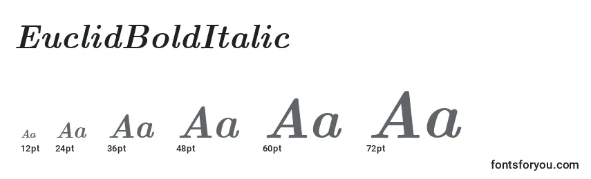 EuclidBoldItalic Font Sizes