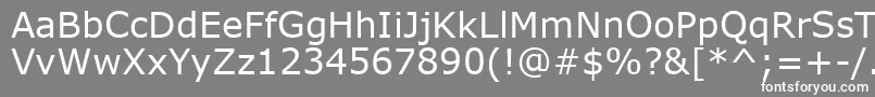 フォントVerdanaKoi8 – 灰色の背景に白い文字