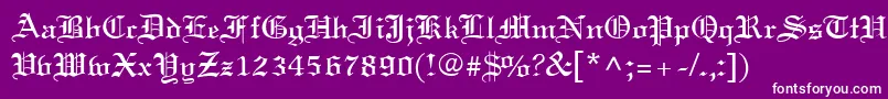 OldWorld Font – White Fonts on Purple Background