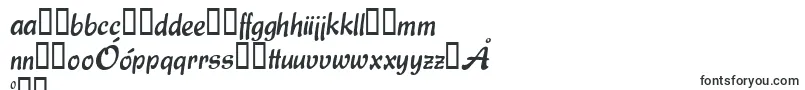 Express Font – Polish Fonts