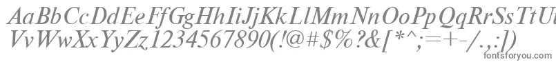 フォントNewtonItalic – 白い背景に灰色の文字