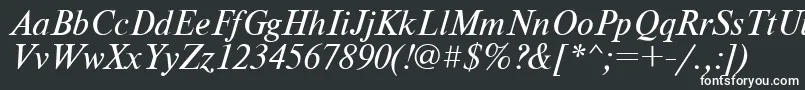 NewtonItalic Font – White Fonts
