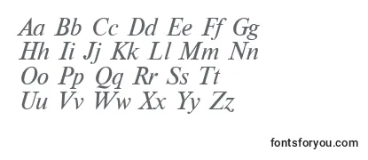 NewtonItalic Font