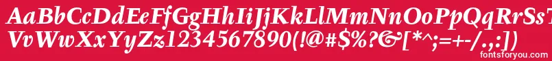 TyfaTextOtBoldItalic Font – White Fonts on Red Background