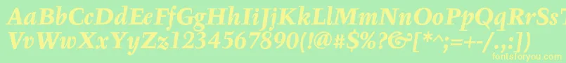 TyfaTextOtBoldItalic Font – Yellow Fonts on Green Background