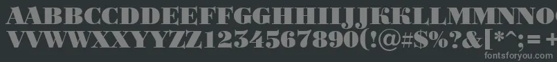BodoniortotitulBlack Font – Gray Fonts on Black Background