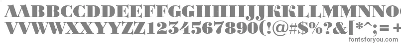 BodoniortotitulBlack Font – Gray Fonts on White Background