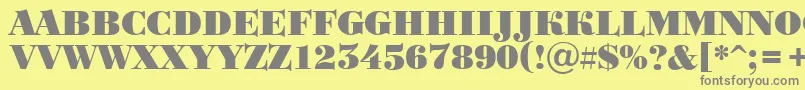 BodoniortotitulBlack Font – Gray Fonts on Yellow Background