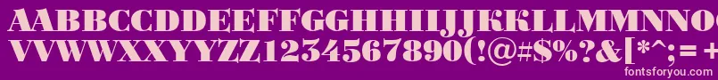 BodoniortotitulBlack Font – Pink Fonts on Purple Background