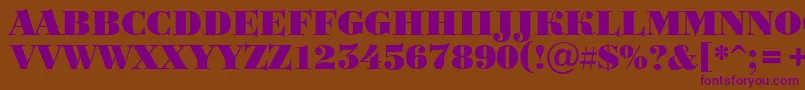 BodoniortotitulBlack Font – Purple Fonts on Brown Background